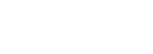 amerikick white logo