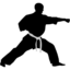 martial arts classes in north wales